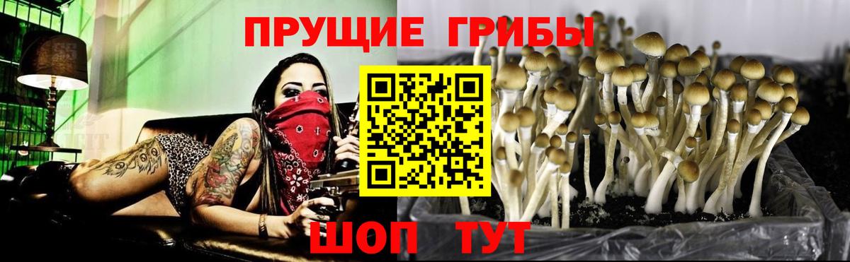 Псилоцибиновые грибы Magic Shrooms Шарыпово